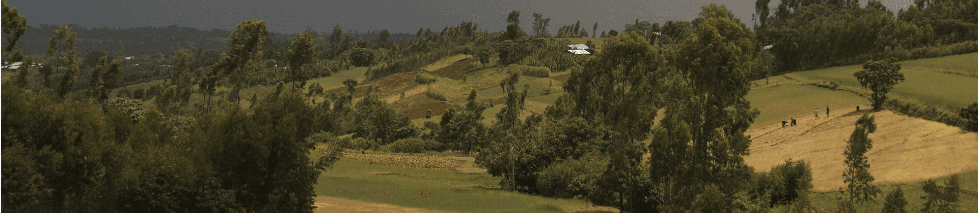 Country
